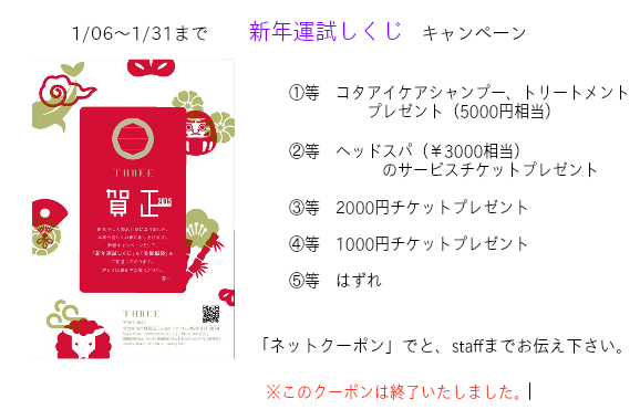 新年運試しくじキャンペーン